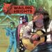 2D, adventure, casual, Comic Book, indie, Outsider Games, PC, PC Review, Point & Click, point and click, Rating 5/10, Wailing Heights, Wailing Heights Review